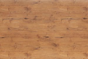 4262 Pale Lancelot Oak